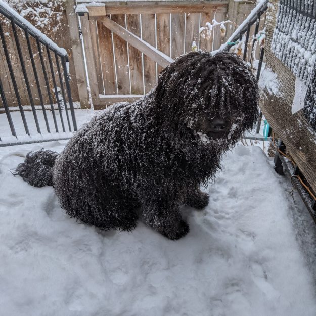 PXL_20210101_182953329