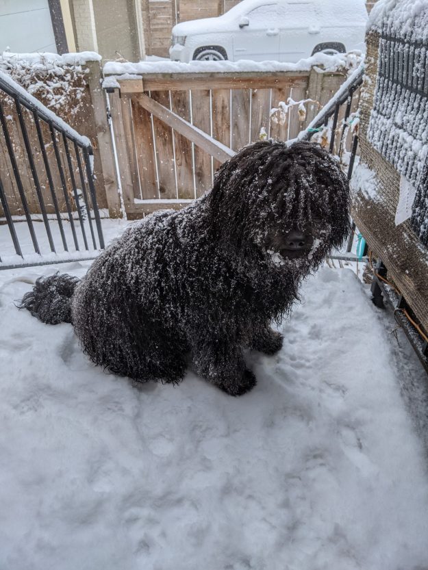 PXL_20210101_182953329